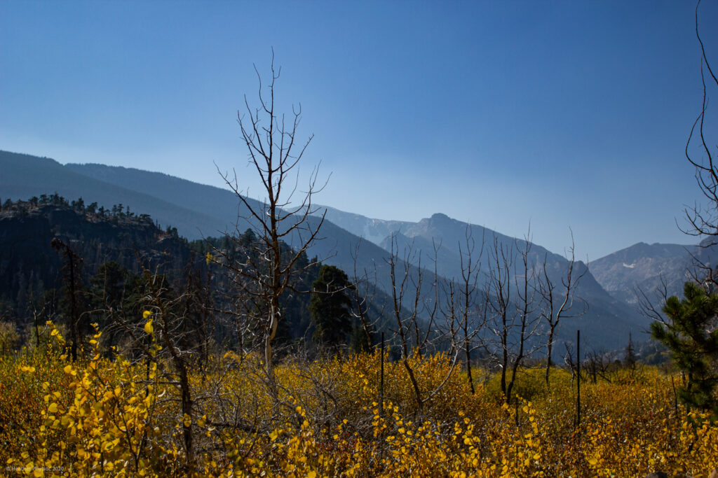 Fall Landscape at Rocky Mountain National Park in Colorado
