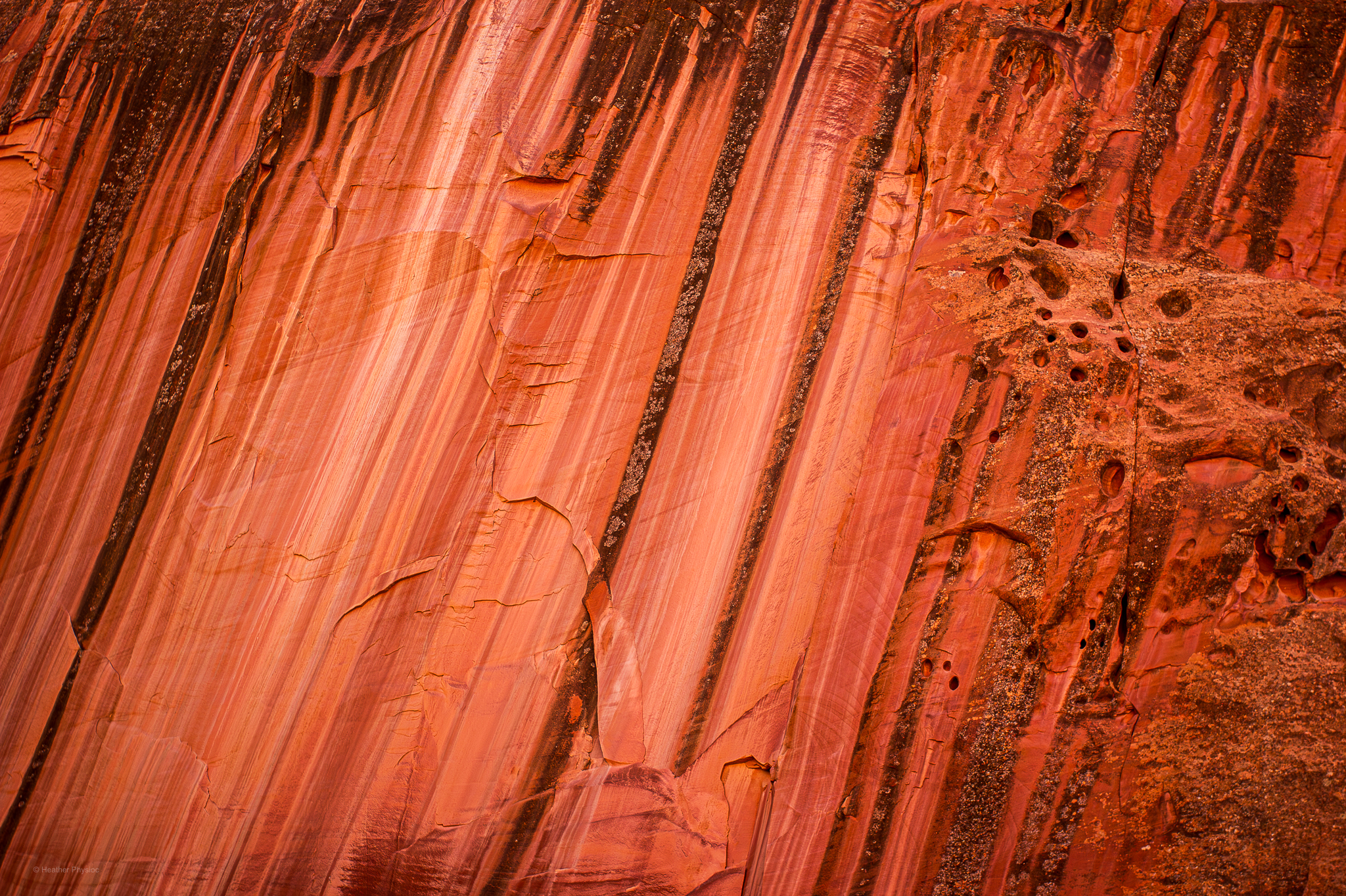 Desert Varnish Closeup at Capitol Reef National Park in Utah