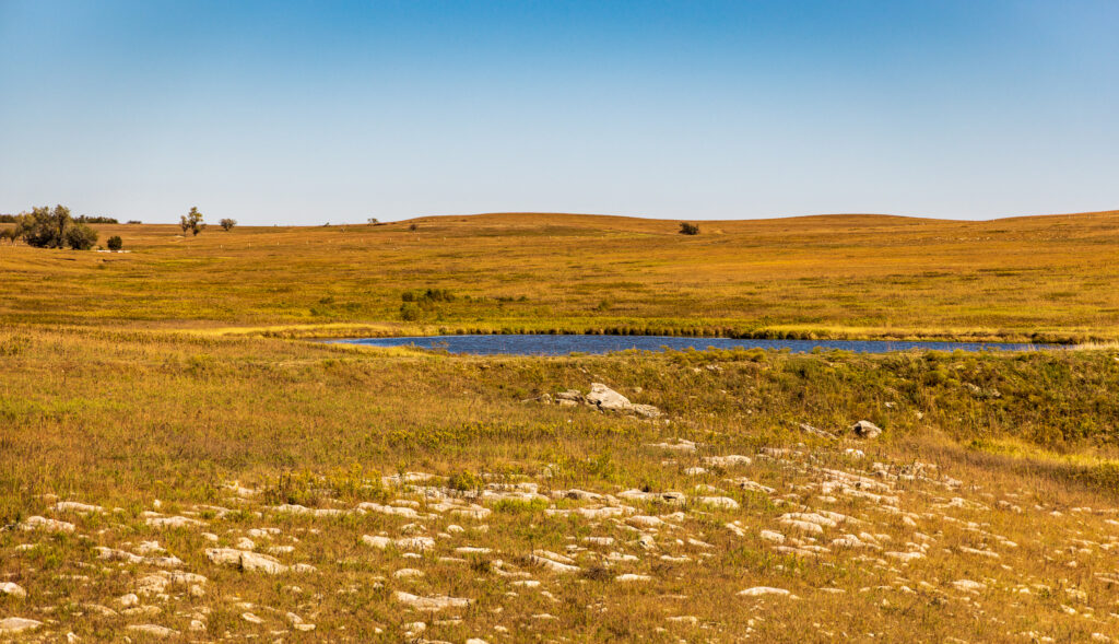 Small Pond & Flint Stones on the Flint Hills Nature Trail in Kansas in the Fall