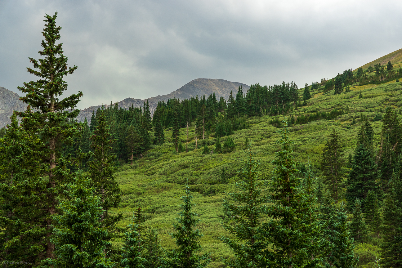 Storm clouds over the green valley at the foot of Grays and Torreys