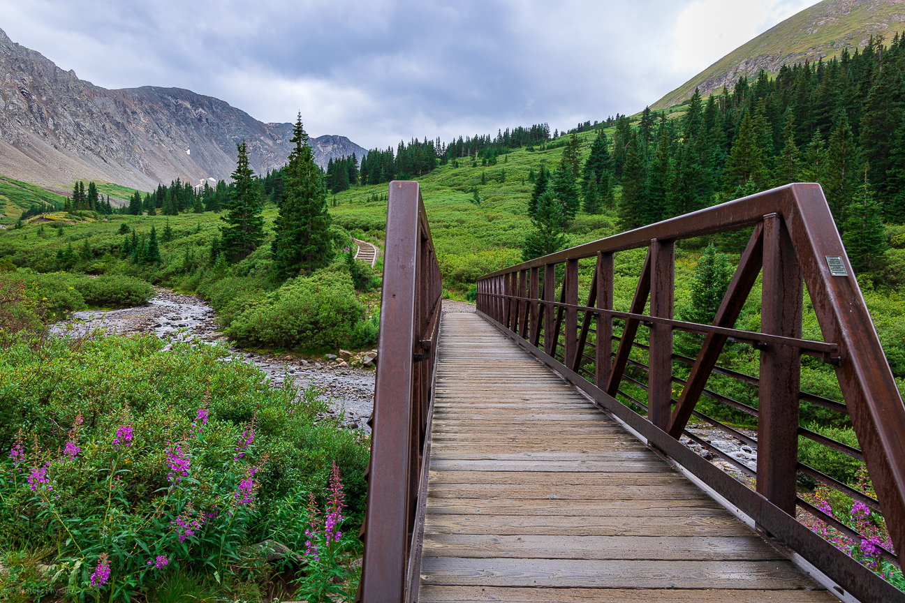 Storm clouds behind the valley and wildflowers at the Grays Peak Trailhead