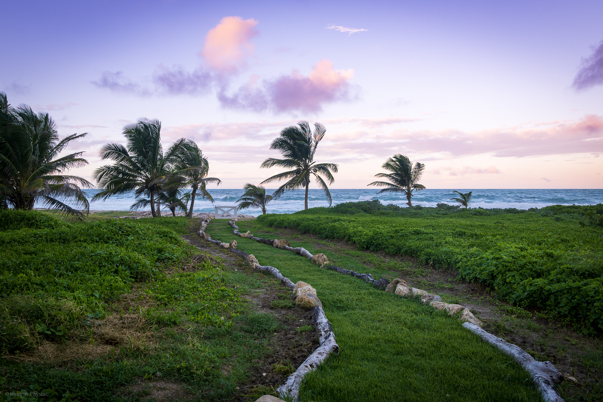 Palm trees and Atlantic sunset in tropical paradise near Bathsheba in St. Joseph, Barbados - photo by Heather Physioc