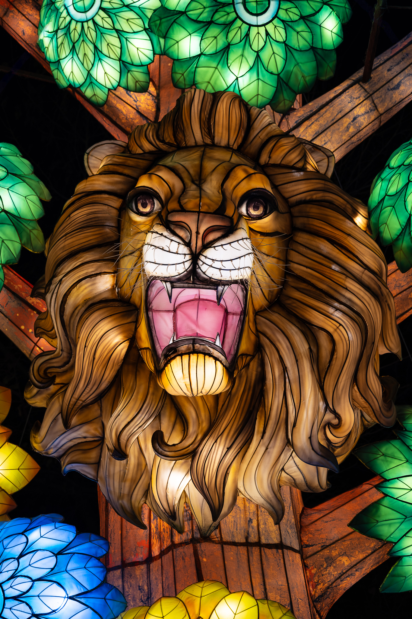 Roaring lion illuminated silk and steel lantern sculpture at 2023 GloWild event at the Kansas City Zoo & Aquarium