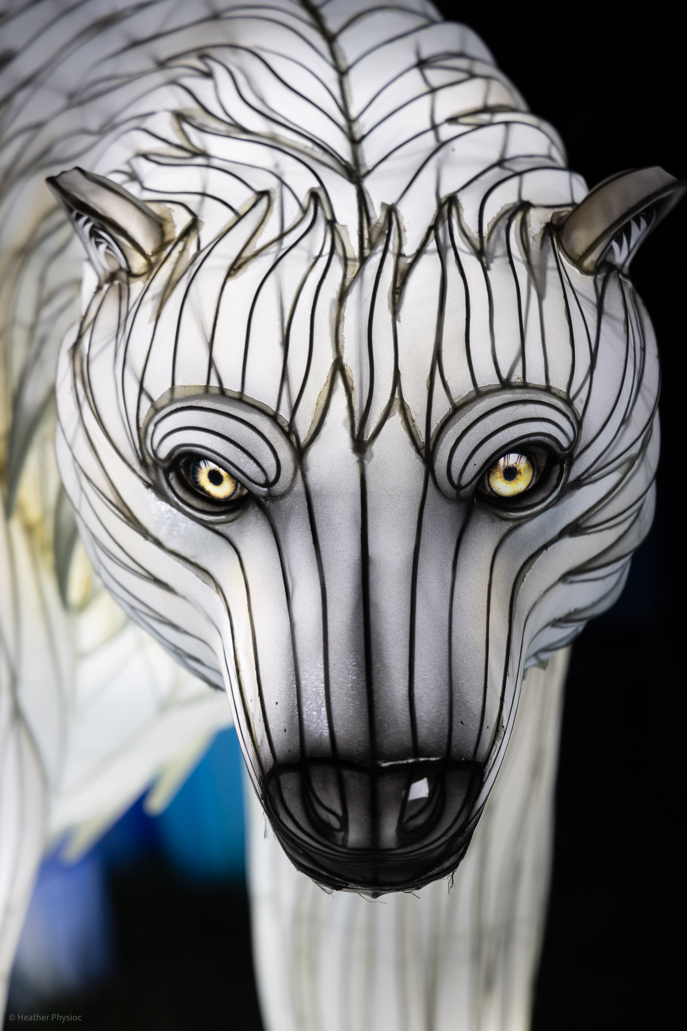Polar bear close-up illuminated silk and steel lantern sculpture at 2023 GloWild event at the Kansas City Zoo & Aquarium