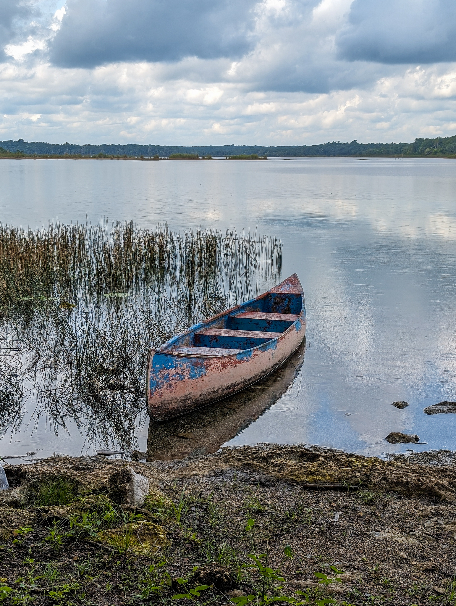A worn blue and red canoe sits on a lakeshore with grasses and still waters, under a cloudy sky in Punta Laguna, Tulum, Mexico.