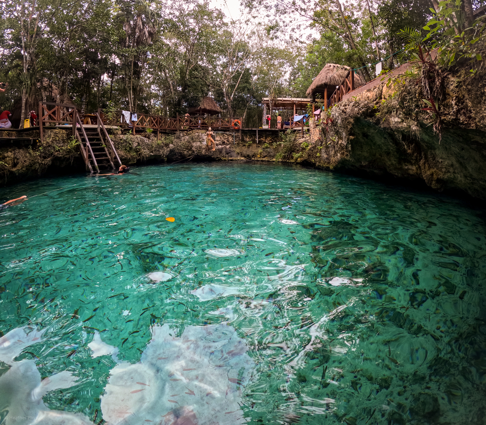 The crystalline waters of Cenote Zacil-Ha near Tulum, Mexico, surrounded by lush vegetation and a wooden deck with visitors enjoying the serene natural swimming hole.