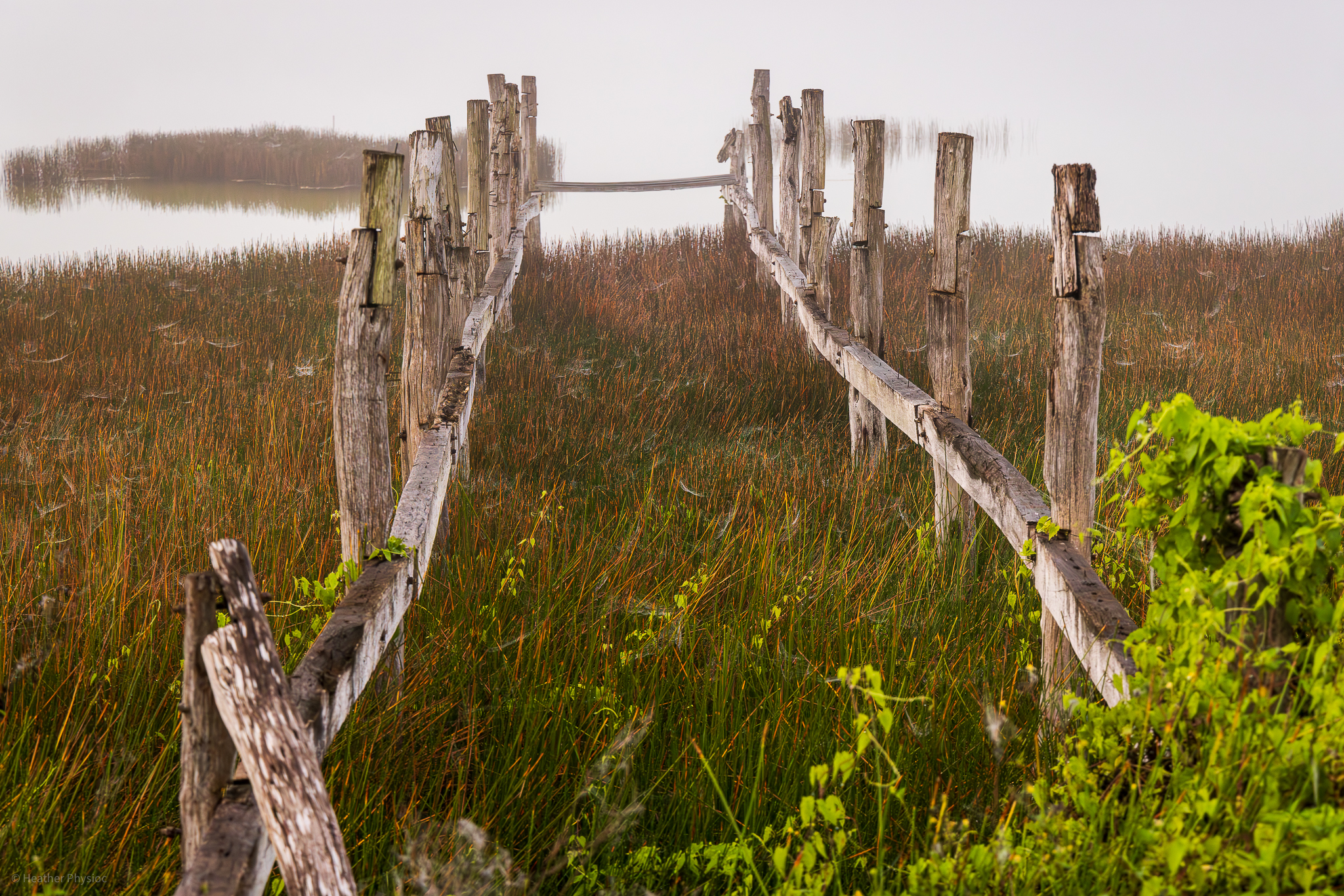 The remnants of a pier at Laguna Macanxoc seemingly lead to nowhere on a misty morning outside the Cobá Ruins.