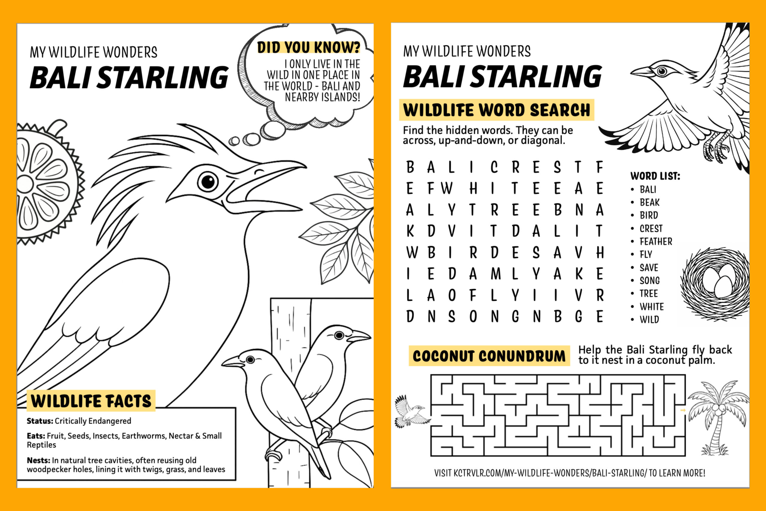 Preview graphic of My Wildlife Wonders #1 - Bali Starling kids' coloring sheet and activity book page