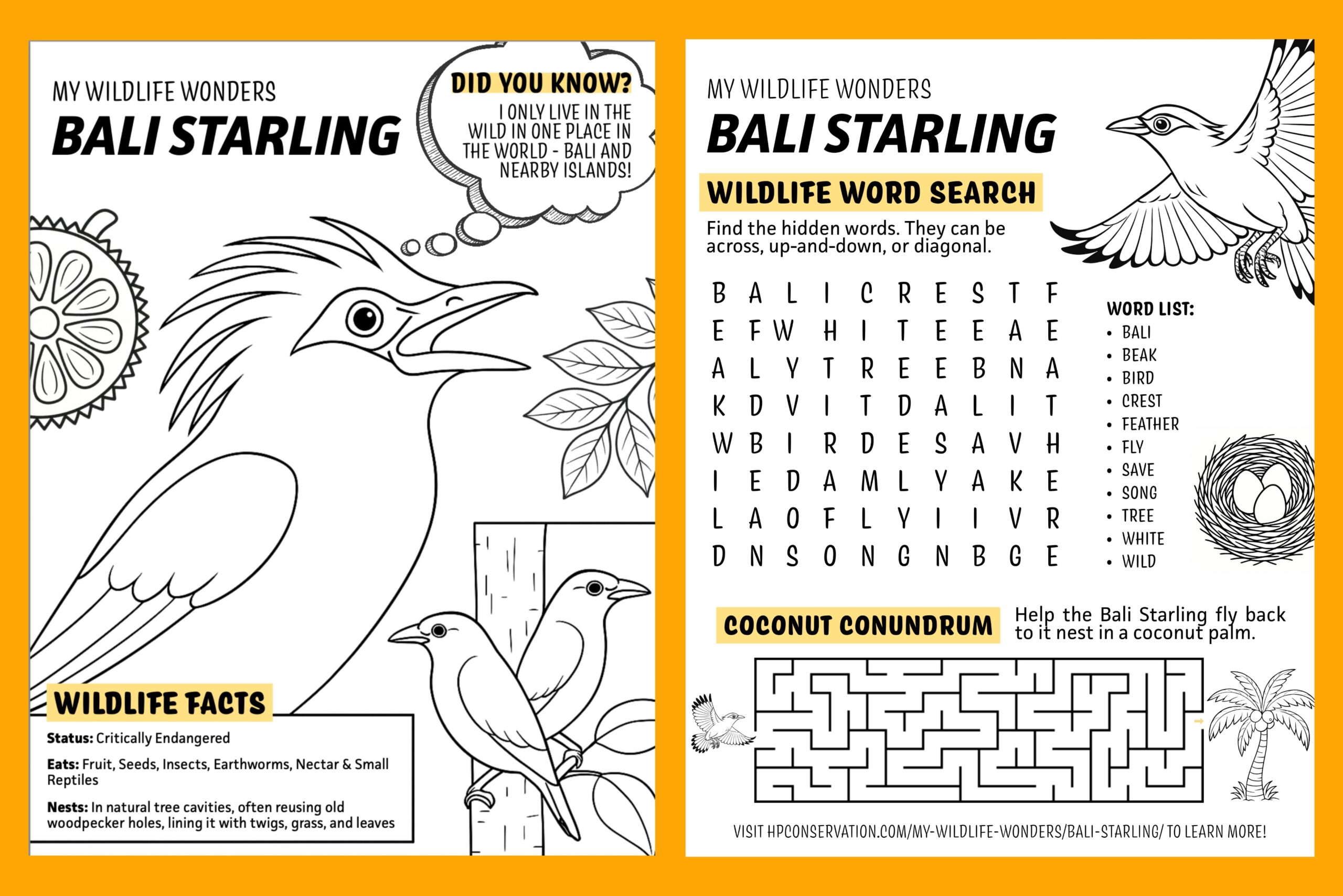 Kids activity page – coloring sheet: Black-and-white illustrated coloring page of a Bali starling with raised crest feathers, set among tropical leaves, including “Did You Know?” and “Wildlife Facts” sections written for children. Kids activity page – puzzles: Black-and-white activity page featuring a Bali starling illustration alongside a wildlife word search, short fact list, and a maze themed around guiding the bird back to its nest.
