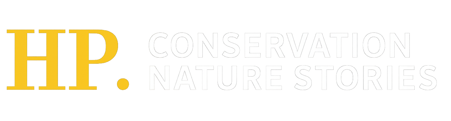 HPConservationV3-White
