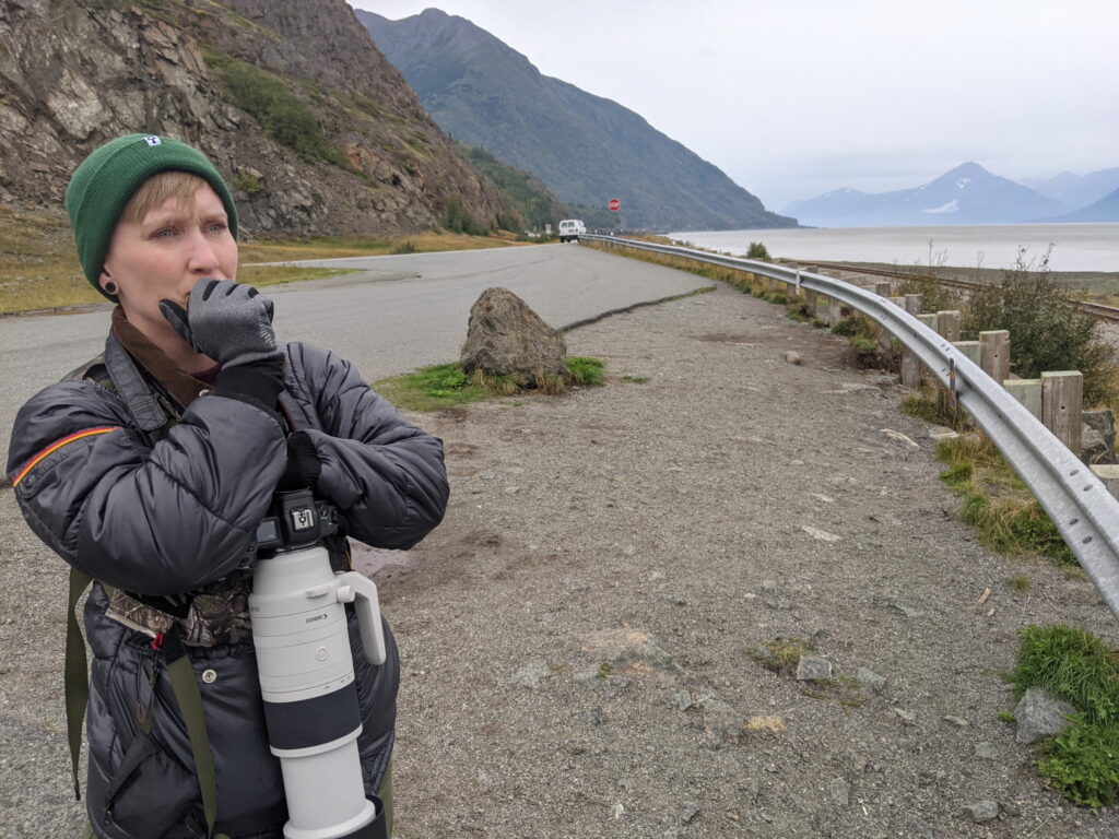 Heather Physioc photographing belugas in Alaska