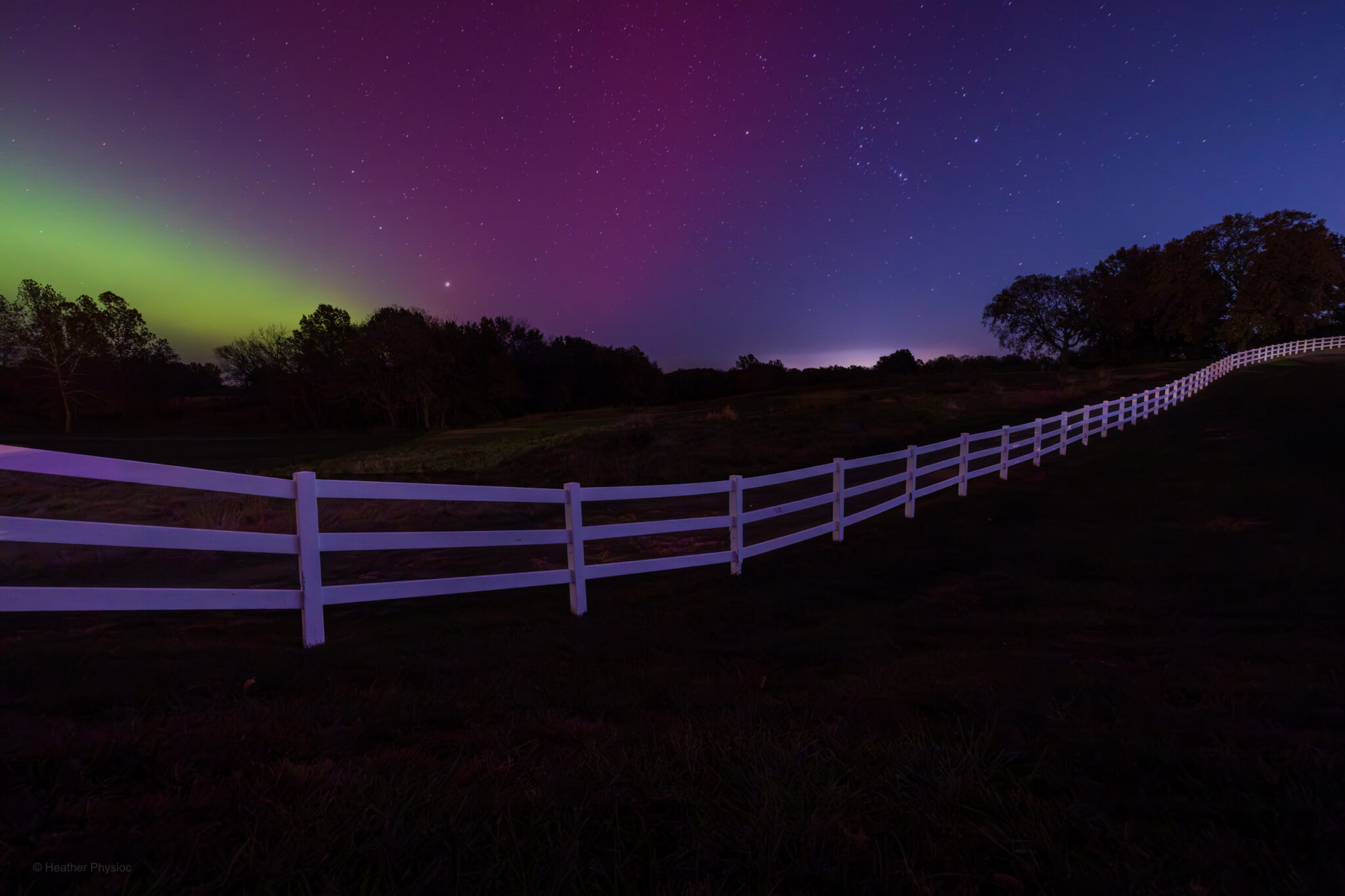 A long white wooden fence runs into the distance under a dark rural sky illuminated by the Northern Lights, with soft green light low on the left horizon blending into deep magenta and purple tones overhead. Silhouetted trees line the back of the pasture, and faint stars are scattered across the night sky.