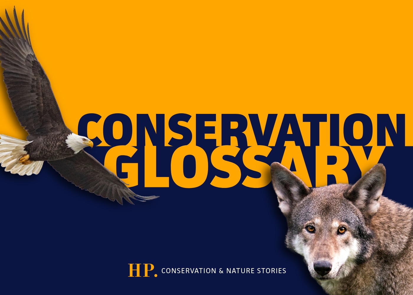 Conservation Glossary cover image featuring a bald eagle and red wolf.