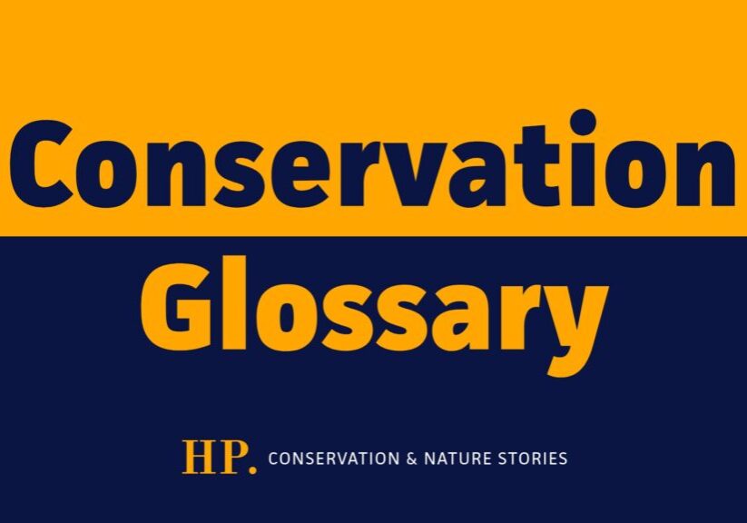 conservation-glossary-cover-image