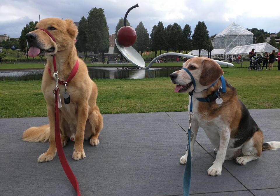Dogs at Minneapolis Sculpture Garden