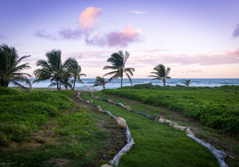 Palm trees and Atlantic sunset in tropical paradise near Bathsheba in St. Joseph, Barbados - photo by Heather Physioc Palm trees and Atlantic sunset in tropical paradise near Bathsheba in St. Joseph, Barbados - photo by Heather Physioc