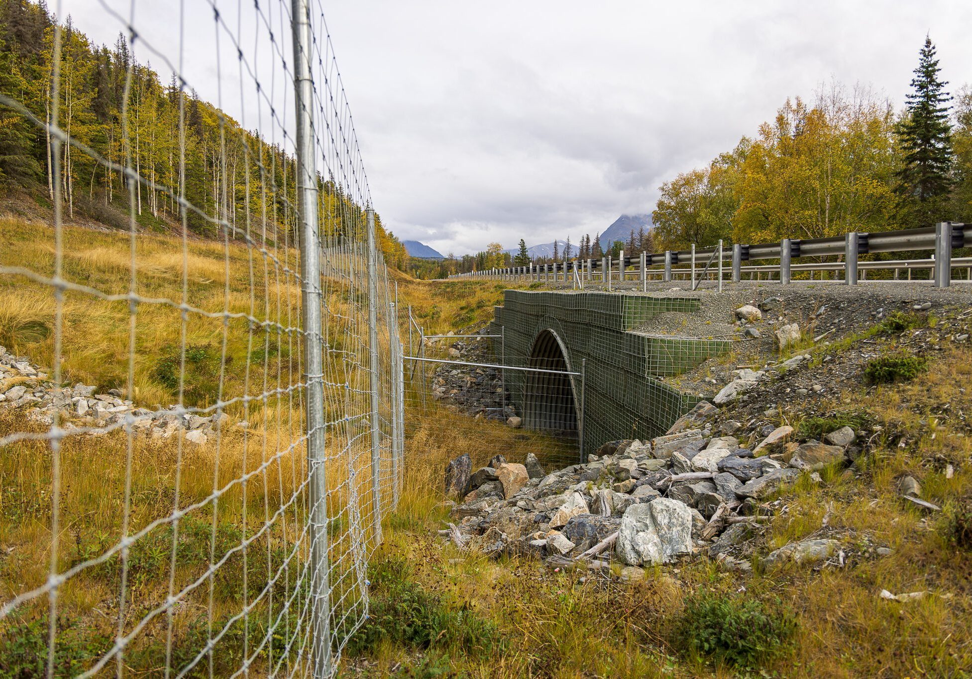 Moose & Wildlife Crossing on the Sterling Highway in Kenai Alaska with culverts and fencing